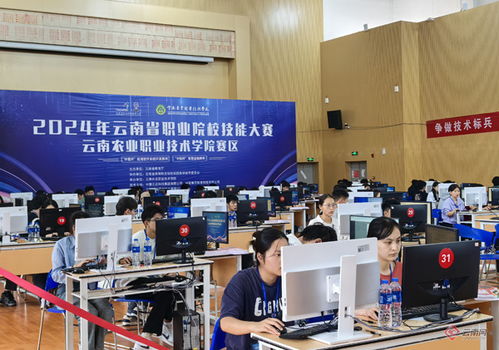 軟件英才聚云農(nóng)職，系統(tǒng)開發(fā)展技能風(fēng)采——全省26所高職院校應(yīng)用軟件系統(tǒng)開發(fā)競賽側(cè)記